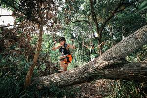 BIB: 
                            <button type="button" onclick="openModal(25534933)" class="btn btn-primary btn-sm float-right btn-popup" data-toggle="modal" data-target=".modal-high-quality">
                        <i class="fas fa-shopping-cart"></i> Add to Cart
                    </button>
                                            <button type="button" onclick="isThisMe(25534933, true)" class="btn btn-success btn-sm float-right btn-popup btn-isme hidden" data-toggle="tooltip" data-placement="bottom" title="นี่คือรูปของคุณใช่ไหม คลิกที่นี่เพื่อเอาเข้าอัลบั้ม">
                        <i class="fas fa-plus"></i> Add to album
                    </button>
                    <button type="button" onclick="isThisMe(25534933, false)" class="btn btn-warning btn-sm float-right btn-popup btn-isnotme hidden">
                        <i class="fas fa-ban"></i> Remove from album
                    </button>