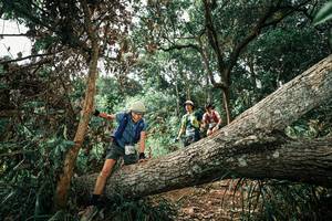 BIB: 
                            <button type="button" onclick="openModal(25549395)" class="btn btn-primary btn-sm float-right btn-popup" data-toggle="modal" data-target=".modal-high-quality">
                        <i class="fas fa-shopping-cart"></i> Add to Cart
                    </button>
                                            <button type="button" onclick="isThisMe(25549395, true)" class="btn btn-success btn-sm float-right btn-popup btn-isme hidden" data-toggle="tooltip" data-placement="bottom" title="นี่คือรูปของคุณใช่ไหม คลิกที่นี่เพื่อเอาเข้าอัลบั้ม">
                        <i class="fas fa-plus"></i> Add to album
                    </button>
                    <button type="button" onclick="isThisMe(25549395, false)" class="btn btn-warning btn-sm float-right btn-popup btn-isnotme hidden">
                        <i class="fas fa-ban"></i> Remove from album
                    </button>