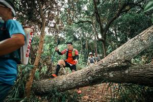 BIB: 
                            <button type="button" onclick="openModal(25546463)" class="btn btn-primary btn-sm float-right btn-popup" data-toggle="modal" data-target=".modal-high-quality">
                        <i class="fas fa-shopping-cart"></i> Add to Cart
                    </button>
                                            <button type="button" onclick="isThisMe(25546463, true)" class="btn btn-success btn-sm float-right btn-popup btn-isme hidden" data-toggle="tooltip" data-placement="bottom" title="นี่คือรูปของคุณใช่ไหม คลิกที่นี่เพื่อเอาเข้าอัลบั้ม">
                        <i class="fas fa-plus"></i> Add to album
                    </button>
                    <button type="button" onclick="isThisMe(25546463, false)" class="btn btn-warning btn-sm float-right btn-popup btn-isnotme hidden">
                        <i class="fas fa-ban"></i> Remove from album
                    </button>