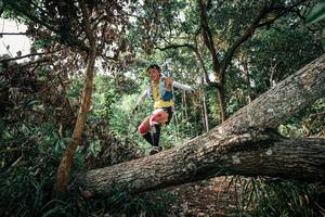 BIB: 
                            <button type="button" onclick="openModal(25534324)" class="btn btn-primary btn-sm float-right btn-popup" data-toggle="modal" data-target=".modal-high-quality">
                        <i class="fas fa-shopping-cart"></i> Add to Cart
                    </button>
                                            <button type="button" onclick="isThisMe(25534324, true)" class="btn btn-success btn-sm float-right btn-popup btn-isme hidden" data-toggle="tooltip" data-placement="bottom" title="นี่คือรูปของคุณใช่ไหม คลิกที่นี่เพื่อเอาเข้าอัลบั้ม">
                        <i class="fas fa-plus"></i> Add to album
                    </button>
                    <button type="button" onclick="isThisMe(25534324, false)" class="btn btn-warning btn-sm float-right btn-popup btn-isnotme hidden">
                        <i class="fas fa-ban"></i> Remove from album
                    </button>