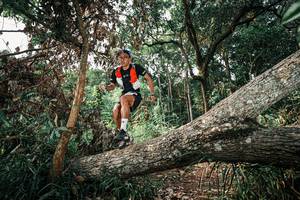 BIB: 
                            <button type="button" onclick="openModal(25535709)" class="btn btn-primary btn-sm float-right btn-popup" data-toggle="modal" data-target=".modal-high-quality">
                        <i class="fas fa-shopping-cart"></i> Add to Cart
                    </button>
                                            <button type="button" onclick="isThisMe(25535709, true)" class="btn btn-success btn-sm float-right btn-popup btn-isme hidden" data-toggle="tooltip" data-placement="bottom" title="นี่คือรูปของคุณใช่ไหม คลิกที่นี่เพื่อเอาเข้าอัลบั้ม">
                        <i class="fas fa-plus"></i> Add to album
                    </button>
                    <button type="button" onclick="isThisMe(25535709, false)" class="btn btn-warning btn-sm float-right btn-popup btn-isnotme hidden">
                        <i class="fas fa-ban"></i> Remove from album
                    </button>