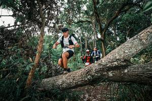 BIB: 
                            <button type="button" onclick="openModal(25527315)" class="btn btn-primary btn-sm float-right btn-popup" data-toggle="modal" data-target=".modal-high-quality">
                        <i class="fas fa-shopping-cart"></i> Add to Cart
                    </button>
                                            <button type="button" onclick="isThisMe(25527315, true)" class="btn btn-success btn-sm float-right btn-popup btn-isme hidden" data-toggle="tooltip" data-placement="bottom" title="นี่คือรูปของคุณใช่ไหม คลิกที่นี่เพื่อเอาเข้าอัลบั้ม">
                        <i class="fas fa-plus"></i> Add to album
                    </button>
                    <button type="button" onclick="isThisMe(25527315, false)" class="btn btn-warning btn-sm float-right btn-popup btn-isnotme hidden">
                        <i class="fas fa-ban"></i> Remove from album
                    </button>