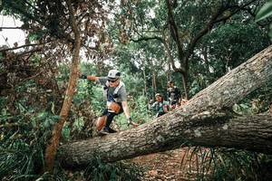 BIB: 
                            <button type="button" onclick="openModal(25546461)" class="btn btn-primary btn-sm float-right btn-popup" data-toggle="modal" data-target=".modal-high-quality">
                        <i class="fas fa-shopping-cart"></i> Add to Cart
                    </button>
                                            <button type="button" onclick="isThisMe(25546461, true)" class="btn btn-success btn-sm float-right btn-popup btn-isme hidden" data-toggle="tooltip" data-placement="bottom" title="นี่คือรูปของคุณใช่ไหม คลิกที่นี่เพื่อเอาเข้าอัลบั้ม">
                        <i class="fas fa-plus"></i> Add to album
                    </button>
                    <button type="button" onclick="isThisMe(25546461, false)" class="btn btn-warning btn-sm float-right btn-popup btn-isnotme hidden">
                        <i class="fas fa-ban"></i> Remove from album
                    </button>