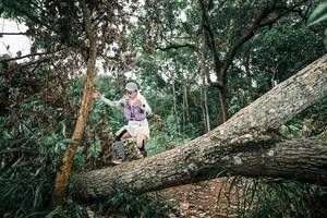 BIB: 
                            <button type="button" onclick="openModal(25541967)" class="btn btn-primary btn-sm float-right btn-popup" data-toggle="modal" data-target=".modal-high-quality">
                        <i class="fas fa-shopping-cart"></i> Add to Cart
                    </button>
                                            <button type="button" onclick="isThisMe(25541967, true)" class="btn btn-success btn-sm float-right btn-popup btn-isme hidden" data-toggle="tooltip" data-placement="bottom" title="นี่คือรูปของคุณใช่ไหม คลิกที่นี่เพื่อเอาเข้าอัลบั้ม">
                        <i class="fas fa-plus"></i> Add to album
                    </button>
                    <button type="button" onclick="isThisMe(25541967, false)" class="btn btn-warning btn-sm float-right btn-popup btn-isnotme hidden">
                        <i class="fas fa-ban"></i> Remove from album
                    </button>