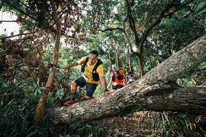 BIB: 
                            <button type="button" onclick="openModal(25535121)" class="btn btn-primary btn-sm float-right btn-popup" data-toggle="modal" data-target=".modal-high-quality">
                        <i class="fas fa-shopping-cart"></i> Add to Cart
                    </button>
                                            <button type="button" onclick="isThisMe(25535121, true)" class="btn btn-success btn-sm float-right btn-popup btn-isme hidden" data-toggle="tooltip" data-placement="bottom" title="นี่คือรูปของคุณใช่ไหม คลิกที่นี่เพื่อเอาเข้าอัลบั้ม">
                        <i class="fas fa-plus"></i> Add to album
                    </button>
                    <button type="button" onclick="isThisMe(25535121, false)" class="btn btn-warning btn-sm float-right btn-popup btn-isnotme hidden">
                        <i class="fas fa-ban"></i> Remove from album
                    </button>