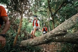 BIB: 
                            <button type="button" onclick="openModal(25528948)" class="btn btn-primary btn-sm float-right btn-popup" data-toggle="modal" data-target=".modal-high-quality">
                        <i class="fas fa-shopping-cart"></i> Add to Cart
                    </button>
                                            <button type="button" onclick="isThisMe(25528948, true)" class="btn btn-success btn-sm float-right btn-popup btn-isme hidden" data-toggle="tooltip" data-placement="bottom" title="นี่คือรูปของคุณใช่ไหม คลิกที่นี่เพื่อเอาเข้าอัลบั้ม">
                        <i class="fas fa-plus"></i> Add to album
                    </button>
                    <button type="button" onclick="isThisMe(25528948, false)" class="btn btn-warning btn-sm float-right btn-popup btn-isnotme hidden">
                        <i class="fas fa-ban"></i> Remove from album
                    </button>