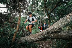 BIB: 
                            <button type="button" onclick="openModal(25527317)" class="btn btn-primary btn-sm float-right btn-popup" data-toggle="modal" data-target=".modal-high-quality">
                        <i class="fas fa-shopping-cart"></i> Add to Cart
                    </button>
                                            <button type="button" onclick="isThisMe(25527317, true)" class="btn btn-success btn-sm float-right btn-popup btn-isme hidden" data-toggle="tooltip" data-placement="bottom" title="นี่คือรูปของคุณใช่ไหม คลิกที่นี่เพื่อเอาเข้าอัลบั้ม">
                        <i class="fas fa-plus"></i> Add to album
                    </button>
                    <button type="button" onclick="isThisMe(25527317, false)" class="btn btn-warning btn-sm float-right btn-popup btn-isnotme hidden">
                        <i class="fas fa-ban"></i> Remove from album
                    </button>