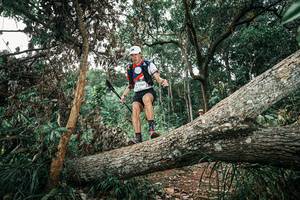 BIB: 
                            <button type="button" onclick="openModal(25542385)" class="btn btn-primary btn-sm float-right btn-popup" data-toggle="modal" data-target=".modal-high-quality">
                        <i class="fas fa-shopping-cart"></i> Add to Cart
                    </button>
                                            <button type="button" onclick="isThisMe(25542385, true)" class="btn btn-success btn-sm float-right btn-popup btn-isme hidden" data-toggle="tooltip" data-placement="bottom" title="นี่คือรูปของคุณใช่ไหม คลิกที่นี่เพื่อเอาเข้าอัลบั้ม">
                        <i class="fas fa-plus"></i> Add to album
                    </button>
                    <button type="button" onclick="isThisMe(25542385, false)" class="btn btn-warning btn-sm float-right btn-popup btn-isnotme hidden">
                        <i class="fas fa-ban"></i> Remove from album
                    </button>