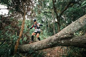 BIB: 
                            <button type="button" onclick="openModal(25544550)" class="btn btn-primary btn-sm float-right btn-popup" data-toggle="modal" data-target=".modal-high-quality">
                        <i class="fas fa-shopping-cart"></i> Add to Cart
                    </button>
                                            <button type="button" onclick="isThisMe(25544550, true)" class="btn btn-success btn-sm float-right btn-popup btn-isme hidden" data-toggle="tooltip" data-placement="bottom" title="นี่คือรูปของคุณใช่ไหม คลิกที่นี่เพื่อเอาเข้าอัลบั้ม">
                        <i class="fas fa-plus"></i> Add to album
                    </button>
                    <button type="button" onclick="isThisMe(25544550, false)" class="btn btn-warning btn-sm float-right btn-popup btn-isnotme hidden">
                        <i class="fas fa-ban"></i> Remove from album
                    </button>