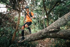 BIB: 
                            <button type="button" onclick="openModal(25533861)" class="btn btn-primary btn-sm float-right btn-popup" data-toggle="modal" data-target=".modal-high-quality">
                        <i class="fas fa-shopping-cart"></i> Add to Cart
                    </button>
                                            <button type="button" onclick="isThisMe(25533861, true)" class="btn btn-success btn-sm float-right btn-popup btn-isme hidden" data-toggle="tooltip" data-placement="bottom" title="นี่คือรูปของคุณใช่ไหม คลิกที่นี่เพื่อเอาเข้าอัลบั้ม">
                        <i class="fas fa-plus"></i> Add to album
                    </button>
                    <button type="button" onclick="isThisMe(25533861, false)" class="btn btn-warning btn-sm float-right btn-popup btn-isnotme hidden">
                        <i class="fas fa-ban"></i> Remove from album
                    </button>