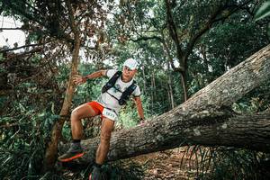 BIB: 
                            <button type="button" onclick="openModal(25549213)" class="btn btn-primary btn-sm float-right btn-popup" data-toggle="modal" data-target=".modal-high-quality">
                        <i class="fas fa-shopping-cart"></i> Add to Cart
                    </button>
                                            <button type="button" onclick="isThisMe(25549213, true)" class="btn btn-success btn-sm float-right btn-popup btn-isme hidden" data-toggle="tooltip" data-placement="bottom" title="นี่คือรูปของคุณใช่ไหม คลิกที่นี่เพื่อเอาเข้าอัลบั้ม">
                        <i class="fas fa-plus"></i> Add to album
                    </button>
                    <button type="button" onclick="isThisMe(25549213, false)" class="btn btn-warning btn-sm float-right btn-popup btn-isnotme hidden">
                        <i class="fas fa-ban"></i> Remove from album
                    </button>