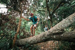 BIB: 
                            <button type="button" onclick="openModal(25544491)" class="btn btn-primary btn-sm float-right btn-popup" data-toggle="modal" data-target=".modal-high-quality">
                        <i class="fas fa-shopping-cart"></i> Add to Cart
                    </button>
                                            <button type="button" onclick="isThisMe(25544491, true)" class="btn btn-success btn-sm float-right btn-popup btn-isme hidden" data-toggle="tooltip" data-placement="bottom" title="นี่คือรูปของคุณใช่ไหม คลิกที่นี่เพื่อเอาเข้าอัลบั้ม">
                        <i class="fas fa-plus"></i> Add to album
                    </button>
                    <button type="button" onclick="isThisMe(25544491, false)" class="btn btn-warning btn-sm float-right btn-popup btn-isnotme hidden">
                        <i class="fas fa-ban"></i> Remove from album
                    </button>