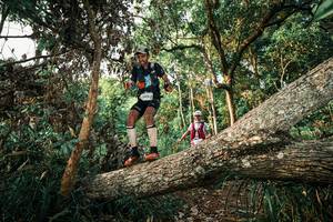 BIB: 
                            <button type="button" onclick="openModal(25525944)" class="btn btn-primary btn-sm float-right btn-popup" data-toggle="modal" data-target=".modal-high-quality">
                        <i class="fas fa-shopping-cart"></i> Add to Cart
                    </button>
                                            <button type="button" onclick="isThisMe(25525944, true)" class="btn btn-success btn-sm float-right btn-popup btn-isme hidden" data-toggle="tooltip" data-placement="bottom" title="นี่คือรูปของคุณใช่ไหม คลิกที่นี่เพื่อเอาเข้าอัลบั้ม">
                        <i class="fas fa-plus"></i> Add to album
                    </button>
                    <button type="button" onclick="isThisMe(25525944, false)" class="btn btn-warning btn-sm float-right btn-popup btn-isnotme hidden">
                        <i class="fas fa-ban"></i> Remove from album
                    </button>