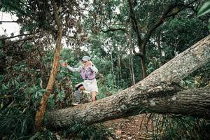 BIB: 
                            <button type="button" onclick="openModal(25541962)" class="btn btn-primary btn-sm float-right btn-popup" data-toggle="modal" data-target=".modal-high-quality">
                        <i class="fas fa-shopping-cart"></i> Add to Cart
                    </button>
                                            <button type="button" onclick="isThisMe(25541962, true)" class="btn btn-success btn-sm float-right btn-popup btn-isme hidden" data-toggle="tooltip" data-placement="bottom" title="นี่คือรูปของคุณใช่ไหม คลิกที่นี่เพื่อเอาเข้าอัลบั้ม">
                        <i class="fas fa-plus"></i> Add to album
                    </button>
                    <button type="button" onclick="isThisMe(25541962, false)" class="btn btn-warning btn-sm float-right btn-popup btn-isnotme hidden">
                        <i class="fas fa-ban"></i> Remove from album
                    </button>