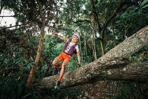 BIB: 
                            <button type="button" onclick="openModal(25526033)" class="btn btn-primary btn-sm float-right btn-popup" data-toggle="modal" data-target=".modal-high-quality">
                        <i class="fas fa-shopping-cart"></i> Add to Cart
                    </button>
                                            <button type="button" onclick="isThisMe(25526033, true)" class="btn btn-success btn-sm float-right btn-popup btn-isme hidden" data-toggle="tooltip" data-placement="bottom" title="นี่คือรูปของคุณใช่ไหม คลิกที่นี่เพื่อเอาเข้าอัลบั้ม">
                        <i class="fas fa-plus"></i> Add to album
                    </button>
                    <button type="button" onclick="isThisMe(25526033, false)" class="btn btn-warning btn-sm float-right btn-popup btn-isnotme hidden">
                        <i class="fas fa-ban"></i> Remove from album
                    </button>