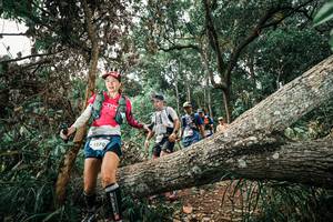 BIB: 
                            <button type="button" onclick="openModal(25538756)" class="btn btn-primary btn-sm float-right btn-popup" data-toggle="modal" data-target=".modal-high-quality">
                        <i class="fas fa-shopping-cart"></i> Add to Cart
                    </button>
                                            <button type="button" onclick="isThisMe(25538756, true)" class="btn btn-success btn-sm float-right btn-popup btn-isme hidden" data-toggle="tooltip" data-placement="bottom" title="นี่คือรูปของคุณใช่ไหม คลิกที่นี่เพื่อเอาเข้าอัลบั้ม">
                        <i class="fas fa-plus"></i> Add to album
                    </button>
                    <button type="button" onclick="isThisMe(25538756, false)" class="btn btn-warning btn-sm float-right btn-popup btn-isnotme hidden">
                        <i class="fas fa-ban"></i> Remove from album
                    </button>