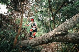 BIB: 
                            <button type="button" onclick="openModal(25533743)" class="btn btn-primary btn-sm float-right btn-popup" data-toggle="modal" data-target=".modal-high-quality">
                        <i class="fas fa-shopping-cart"></i> Add to Cart
                    </button>
                                            <button type="button" onclick="isThisMe(25533743, true)" class="btn btn-success btn-sm float-right btn-popup btn-isme hidden" data-toggle="tooltip" data-placement="bottom" title="นี่คือรูปของคุณใช่ไหม คลิกที่นี่เพื่อเอาเข้าอัลบั้ม">
                        <i class="fas fa-plus"></i> Add to album
                    </button>
                    <button type="button" onclick="isThisMe(25533743, false)" class="btn btn-warning btn-sm float-right btn-popup btn-isnotme hidden">
                        <i class="fas fa-ban"></i> Remove from album
                    </button>