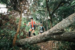 BIB: 
                            <button type="button" onclick="openModal(25540953)" class="btn btn-primary btn-sm float-right btn-popup" data-toggle="modal" data-target=".modal-high-quality">
                        <i class="fas fa-shopping-cart"></i> Add to Cart
                    </button>
                                            <button type="button" onclick="isThisMe(25540953, true)" class="btn btn-success btn-sm float-right btn-popup btn-isme hidden" data-toggle="tooltip" data-placement="bottom" title="นี่คือรูปของคุณใช่ไหม คลิกที่นี่เพื่อเอาเข้าอัลบั้ม">
                        <i class="fas fa-plus"></i> Add to album
                    </button>
                    <button type="button" onclick="isThisMe(25540953, false)" class="btn btn-warning btn-sm float-right btn-popup btn-isnotme hidden">
                        <i class="fas fa-ban"></i> Remove from album
                    </button>