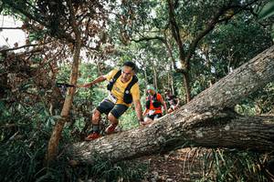 BIB: 
                            <button type="button" onclick="openModal(25535139)" class="btn btn-primary btn-sm float-right btn-popup" data-toggle="modal" data-target=".modal-high-quality">
                        <i class="fas fa-shopping-cart"></i> Add to Cart
                    </button>
                                            <button type="button" onclick="isThisMe(25535139, true)" class="btn btn-success btn-sm float-right btn-popup btn-isme hidden" data-toggle="tooltip" data-placement="bottom" title="นี่คือรูปของคุณใช่ไหม คลิกที่นี่เพื่อเอาเข้าอัลบั้ม">
                        <i class="fas fa-plus"></i> Add to album
                    </button>
                    <button type="button" onclick="isThisMe(25535139, false)" class="btn btn-warning btn-sm float-right btn-popup btn-isnotme hidden">
                        <i class="fas fa-ban"></i> Remove from album
                    </button>