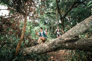 BIB: 
                            <button type="button" onclick="openModal(25537417)" class="btn btn-primary btn-sm float-right btn-popup" data-toggle="modal" data-target=".modal-high-quality">
                        <i class="fas fa-shopping-cart"></i> Add to Cart
                    </button>
                                            <button type="button" onclick="isThisMe(25537417, true)" class="btn btn-success btn-sm float-right btn-popup btn-isme hidden" data-toggle="tooltip" data-placement="bottom" title="นี่คือรูปของคุณใช่ไหม คลิกที่นี่เพื่อเอาเข้าอัลบั้ม">
                        <i class="fas fa-plus"></i> Add to album
                    </button>
                    <button type="button" onclick="isThisMe(25537417, false)" class="btn btn-warning btn-sm float-right btn-popup btn-isnotme hidden">
                        <i class="fas fa-ban"></i> Remove from album
                    </button>