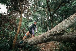 BIB: 
                            <button type="button" onclick="openModal(25544332)" class="btn btn-primary btn-sm float-right btn-popup" data-toggle="modal" data-target=".modal-high-quality">
                        <i class="fas fa-shopping-cart"></i> Add to Cart
                    </button>
                                            <button type="button" onclick="isThisMe(25544332, true)" class="btn btn-success btn-sm float-right btn-popup btn-isme hidden" data-toggle="tooltip" data-placement="bottom" title="นี่คือรูปของคุณใช่ไหม คลิกที่นี่เพื่อเอาเข้าอัลบั้ม">
                        <i class="fas fa-plus"></i> Add to album
                    </button>
                    <button type="button" onclick="isThisMe(25544332, false)" class="btn btn-warning btn-sm float-right btn-popup btn-isnotme hidden">
                        <i class="fas fa-ban"></i> Remove from album
                    </button>