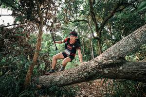 BIB: 
                            <button type="button" onclick="openModal(25533348)" class="btn btn-primary btn-sm float-right btn-popup" data-toggle="modal" data-target=".modal-high-quality">
                        <i class="fas fa-shopping-cart"></i> Add to Cart
                    </button>
                                            <button type="button" onclick="isThisMe(25533348, true)" class="btn btn-success btn-sm float-right btn-popup btn-isme hidden" data-toggle="tooltip" data-placement="bottom" title="นี่คือรูปของคุณใช่ไหม คลิกที่นี่เพื่อเอาเข้าอัลบั้ม">
                        <i class="fas fa-plus"></i> Add to album
                    </button>
                    <button type="button" onclick="isThisMe(25533348, false)" class="btn btn-warning btn-sm float-right btn-popup btn-isnotme hidden">
                        <i class="fas fa-ban"></i> Remove from album
                    </button>