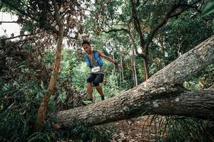 BIB: 
                            <button type="button" onclick="openModal(25533194)" class="btn btn-primary btn-sm float-right btn-popup" data-toggle="modal" data-target=".modal-high-quality">
                        <i class="fas fa-shopping-cart"></i> Add to Cart
                    </button>
                                            <button type="button" onclick="isThisMe(25533194, true)" class="btn btn-success btn-sm float-right btn-popup btn-isme hidden" data-toggle="tooltip" data-placement="bottom" title="นี่คือรูปของคุณใช่ไหม คลิกที่นี่เพื่อเอาเข้าอัลบั้ม">
                        <i class="fas fa-plus"></i> Add to album
                    </button>
                    <button type="button" onclick="isThisMe(25533194, false)" class="btn btn-warning btn-sm float-right btn-popup btn-isnotme hidden">
                        <i class="fas fa-ban"></i> Remove from album
                    </button>