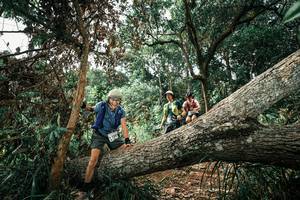 BIB: 
                            <button type="button" onclick="openModal(25549398)" class="btn btn-primary btn-sm float-right btn-popup" data-toggle="modal" data-target=".modal-high-quality">
                        <i class="fas fa-shopping-cart"></i> Add to Cart
                    </button>
                                            <button type="button" onclick="isThisMe(25549398, true)" class="btn btn-success btn-sm float-right btn-popup btn-isme hidden" data-toggle="tooltip" data-placement="bottom" title="นี่คือรูปของคุณใช่ไหม คลิกที่นี่เพื่อเอาเข้าอัลบั้ม">
                        <i class="fas fa-plus"></i> Add to album
                    </button>
                    <button type="button" onclick="isThisMe(25549398, false)" class="btn btn-warning btn-sm float-right btn-popup btn-isnotme hidden">
                        <i class="fas fa-ban"></i> Remove from album
                    </button>