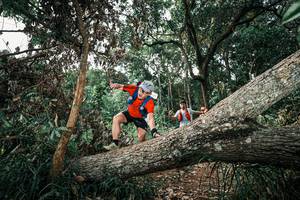 BIB: 
                            <button type="button" onclick="openModal(25535763)" class="btn btn-primary btn-sm float-right btn-popup" data-toggle="modal" data-target=".modal-high-quality">
                        <i class="fas fa-shopping-cart"></i> Add to Cart
                    </button>
                                            <button type="button" onclick="isThisMe(25535763, true)" class="btn btn-success btn-sm float-right btn-popup btn-isme hidden" data-toggle="tooltip" data-placement="bottom" title="นี่คือรูปของคุณใช่ไหม คลิกที่นี่เพื่อเอาเข้าอัลบั้ม">
                        <i class="fas fa-plus"></i> Add to album
                    </button>
                    <button type="button" onclick="isThisMe(25535763, false)" class="btn btn-warning btn-sm float-right btn-popup btn-isnotme hidden">
                        <i class="fas fa-ban"></i> Remove from album
                    </button>