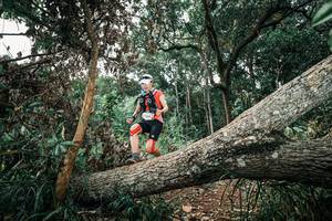 BIB: 
                            <button type="button" onclick="openModal(25538677)" class="btn btn-primary btn-sm float-right btn-popup" data-toggle="modal" data-target=".modal-high-quality">
                        <i class="fas fa-shopping-cart"></i> Add to Cart
                    </button>
                                            <button type="button" onclick="isThisMe(25538677, true)" class="btn btn-success btn-sm float-right btn-popup btn-isme hidden" data-toggle="tooltip" data-placement="bottom" title="นี่คือรูปของคุณใช่ไหม คลิกที่นี่เพื่อเอาเข้าอัลบั้ม">
                        <i class="fas fa-plus"></i> Add to album
                    </button>
                    <button type="button" onclick="isThisMe(25538677, false)" class="btn btn-warning btn-sm float-right btn-popup btn-isnotme hidden">
                        <i class="fas fa-ban"></i> Remove from album
                    </button>