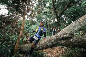 BIB: 
                            <button type="button" onclick="openModal(25544830)" class="btn btn-primary btn-sm float-right btn-popup" data-toggle="modal" data-target=".modal-high-quality">
                        <i class="fas fa-shopping-cart"></i> Add to Cart
                    </button>
                                            <button type="button" onclick="isThisMe(25544830, true)" class="btn btn-success btn-sm float-right btn-popup btn-isme hidden" data-toggle="tooltip" data-placement="bottom" title="นี่คือรูปของคุณใช่ไหม คลิกที่นี่เพื่อเอาเข้าอัลบั้ม">
                        <i class="fas fa-plus"></i> Add to album
                    </button>
                    <button type="button" onclick="isThisMe(25544830, false)" class="btn btn-warning btn-sm float-right btn-popup btn-isnotme hidden">
                        <i class="fas fa-ban"></i> Remove from album
                    </button>