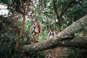 BIB: 
                            <button type="button" onclick="openModal(25532676)" class="btn btn-primary btn-sm float-right btn-popup" data-toggle="modal" data-target=".modal-high-quality">
                        <i class="fas fa-shopping-cart"></i> Add to Cart
                    </button>
                                            <button type="button" onclick="isThisMe(25532676, true)" class="btn btn-success btn-sm float-right btn-popup btn-isme hidden" data-toggle="tooltip" data-placement="bottom" title="นี่คือรูปของคุณใช่ไหม คลิกที่นี่เพื่อเอาเข้าอัลบั้ม">
                        <i class="fas fa-plus"></i> Add to album
                    </button>
                    <button type="button" onclick="isThisMe(25532676, false)" class="btn btn-warning btn-sm float-right btn-popup btn-isnotme hidden">
                        <i class="fas fa-ban"></i> Remove from album
                    </button>