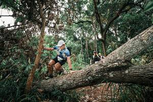 BIB: 
                            <button type="button" onclick="openModal(25531121)" class="btn btn-primary btn-sm float-right btn-popup" data-toggle="modal" data-target=".modal-high-quality">
                        <i class="fas fa-shopping-cart"></i> Add to Cart
                    </button>
                                            <button type="button" onclick="isThisMe(25531121, true)" class="btn btn-success btn-sm float-right btn-popup btn-isme hidden" data-toggle="tooltip" data-placement="bottom" title="นี่คือรูปของคุณใช่ไหม คลิกที่นี่เพื่อเอาเข้าอัลบั้ม">
                        <i class="fas fa-plus"></i> Add to album
                    </button>
                    <button type="button" onclick="isThisMe(25531121, false)" class="btn btn-warning btn-sm float-right btn-popup btn-isnotme hidden">
                        <i class="fas fa-ban"></i> Remove from album
                    </button>