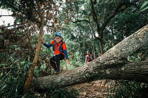 BIB: 
                            <button type="button" onclick="openModal(25549245)" class="btn btn-primary btn-sm float-right btn-popup" data-toggle="modal" data-target=".modal-high-quality">
                        <i class="fas fa-shopping-cart"></i> Add to Cart
                    </button>
                                            <button type="button" onclick="isThisMe(25549245, true)" class="btn btn-success btn-sm float-right btn-popup btn-isme hidden" data-toggle="tooltip" data-placement="bottom" title="นี่คือรูปของคุณใช่ไหม คลิกที่นี่เพื่อเอาเข้าอัลบั้ม">
                        <i class="fas fa-plus"></i> Add to album
                    </button>
                    <button type="button" onclick="isThisMe(25549245, false)" class="btn btn-warning btn-sm float-right btn-popup btn-isnotme hidden">
                        <i class="fas fa-ban"></i> Remove from album
                    </button>