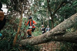 BIB: 
                            <button type="button" onclick="openModal(25530888)" class="btn btn-primary btn-sm float-right btn-popup" data-toggle="modal" data-target=".modal-high-quality">
                        <i class="fas fa-shopping-cart"></i> Add to Cart
                    </button>
                                            <button type="button" onclick="isThisMe(25530888, true)" class="btn btn-success btn-sm float-right btn-popup btn-isme hidden" data-toggle="tooltip" data-placement="bottom" title="นี่คือรูปของคุณใช่ไหม คลิกที่นี่เพื่อเอาเข้าอัลบั้ม">
                        <i class="fas fa-plus"></i> Add to album
                    </button>
                    <button type="button" onclick="isThisMe(25530888, false)" class="btn btn-warning btn-sm float-right btn-popup btn-isnotme hidden">
                        <i class="fas fa-ban"></i> Remove from album
                    </button>