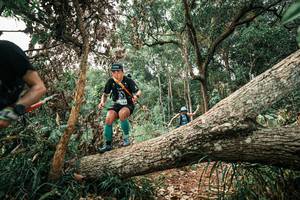 BIB: 
                            <button type="button" onclick="openModal(25529541)" class="btn btn-primary btn-sm float-right btn-popup" data-toggle="modal" data-target=".modal-high-quality">
                        <i class="fas fa-shopping-cart"></i> Add to Cart
                    </button>
                                            <button type="button" onclick="isThisMe(25529541, true)" class="btn btn-success btn-sm float-right btn-popup btn-isme hidden" data-toggle="tooltip" data-placement="bottom" title="นี่คือรูปของคุณใช่ไหม คลิกที่นี่เพื่อเอาเข้าอัลบั้ม">
                        <i class="fas fa-plus"></i> Add to album
                    </button>
                    <button type="button" onclick="isThisMe(25529541, false)" class="btn btn-warning btn-sm float-right btn-popup btn-isnotme hidden">
                        <i class="fas fa-ban"></i> Remove from album
                    </button>