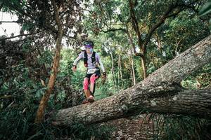 BIB: 
                            <button type="button" onclick="openModal(25527697)" class="btn btn-primary btn-sm float-right btn-popup" data-toggle="modal" data-target=".modal-high-quality">
                        <i class="fas fa-shopping-cart"></i> Add to Cart
                    </button>
                                            <button type="button" onclick="isThisMe(25527697, true)" class="btn btn-success btn-sm float-right btn-popup btn-isme hidden" data-toggle="tooltip" data-placement="bottom" title="นี่คือรูปของคุณใช่ไหม คลิกที่นี่เพื่อเอาเข้าอัลบั้ม">
                        <i class="fas fa-plus"></i> Add to album
                    </button>
                    <button type="button" onclick="isThisMe(25527697, false)" class="btn btn-warning btn-sm float-right btn-popup btn-isnotme hidden">
                        <i class="fas fa-ban"></i> Remove from album
                    </button>