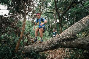 BIB: 
                            <button type="button" onclick="openModal(25529833)" class="btn btn-primary btn-sm float-right btn-popup" data-toggle="modal" data-target=".modal-high-quality">
                        <i class="fas fa-shopping-cart"></i> Add to Cart
                    </button>
                                            <button type="button" onclick="isThisMe(25529833, true)" class="btn btn-success btn-sm float-right btn-popup btn-isme hidden" data-toggle="tooltip" data-placement="bottom" title="นี่คือรูปของคุณใช่ไหม คลิกที่นี่เพื่อเอาเข้าอัลบั้ม">
                        <i class="fas fa-plus"></i> Add to album
                    </button>
                    <button type="button" onclick="isThisMe(25529833, false)" class="btn btn-warning btn-sm float-right btn-popup btn-isnotme hidden">
                        <i class="fas fa-ban"></i> Remove from album
                    </button>