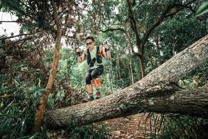 BIB: 
                            <button type="button" onclick="openModal(25545219)" class="btn btn-primary btn-sm float-right btn-popup" data-toggle="modal" data-target=".modal-high-quality">
                        <i class="fas fa-shopping-cart"></i> Add to Cart
                    </button>
                                            <button type="button" onclick="isThisMe(25545219, true)" class="btn btn-success btn-sm float-right btn-popup btn-isme hidden" data-toggle="tooltip" data-placement="bottom" title="นี่คือรูปของคุณใช่ไหม คลิกที่นี่เพื่อเอาเข้าอัลบั้ม">
                        <i class="fas fa-plus"></i> Add to album
                    </button>
                    <button type="button" onclick="isThisMe(25545219, false)" class="btn btn-warning btn-sm float-right btn-popup btn-isnotme hidden">
                        <i class="fas fa-ban"></i> Remove from album
                    </button>