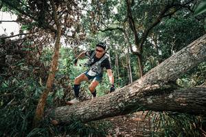 BIB: 
                            <button type="button" onclick="openModal(25534014)" class="btn btn-primary btn-sm float-right btn-popup" data-toggle="modal" data-target=".modal-high-quality">
                        <i class="fas fa-shopping-cart"></i> Add to Cart
                    </button>
                                            <button type="button" onclick="isThisMe(25534014, true)" class="btn btn-success btn-sm float-right btn-popup btn-isme hidden" data-toggle="tooltip" data-placement="bottom" title="นี่คือรูปของคุณใช่ไหม คลิกที่นี่เพื่อเอาเข้าอัลบั้ม">
                        <i class="fas fa-plus"></i> Add to album
                    </button>
                    <button type="button" onclick="isThisMe(25534014, false)" class="btn btn-warning btn-sm float-right btn-popup btn-isnotme hidden">
                        <i class="fas fa-ban"></i> Remove from album
                    </button>