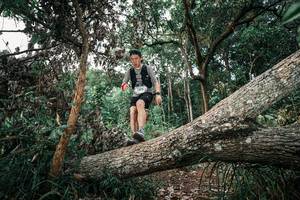 BIB: 
                            <button type="button" onclick="openModal(25528531)" class="btn btn-primary btn-sm float-right btn-popup" data-toggle="modal" data-target=".modal-high-quality">
                        <i class="fas fa-shopping-cart"></i> Add to Cart
                    </button>
                                            <button type="button" onclick="isThisMe(25528531, true)" class="btn btn-success btn-sm float-right btn-popup btn-isme hidden" data-toggle="tooltip" data-placement="bottom" title="นี่คือรูปของคุณใช่ไหม คลิกที่นี่เพื่อเอาเข้าอัลบั้ม">
                        <i class="fas fa-plus"></i> Add to album
                    </button>
                    <button type="button" onclick="isThisMe(25528531, false)" class="btn btn-warning btn-sm float-right btn-popup btn-isnotme hidden">
                        <i class="fas fa-ban"></i> Remove from album
                    </button>