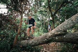 BIB: 
                            <button type="button" onclick="openModal(25533550)" class="btn btn-primary btn-sm float-right btn-popup" data-toggle="modal" data-target=".modal-high-quality">
                        <i class="fas fa-shopping-cart"></i> Add to Cart
                    </button>
                                            <button type="button" onclick="isThisMe(25533550, true)" class="btn btn-success btn-sm float-right btn-popup btn-isme hidden" data-toggle="tooltip" data-placement="bottom" title="นี่คือรูปของคุณใช่ไหม คลิกที่นี่เพื่อเอาเข้าอัลบั้ม">
                        <i class="fas fa-plus"></i> Add to album
                    </button>
                    <button type="button" onclick="isThisMe(25533550, false)" class="btn btn-warning btn-sm float-right btn-popup btn-isnotme hidden">
                        <i class="fas fa-ban"></i> Remove from album
                    </button>