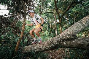 BIB: 
                            <button type="button" onclick="openModal(25527078)" class="btn btn-primary btn-sm float-right btn-popup" data-toggle="modal" data-target=".modal-high-quality">
                        <i class="fas fa-shopping-cart"></i> Add to Cart
                    </button>
                                            <button type="button" onclick="isThisMe(25527078, true)" class="btn btn-success btn-sm float-right btn-popup btn-isme hidden" data-toggle="tooltip" data-placement="bottom" title="นี่คือรูปของคุณใช่ไหม คลิกที่นี่เพื่อเอาเข้าอัลบั้ม">
                        <i class="fas fa-plus"></i> Add to album
                    </button>
                    <button type="button" onclick="isThisMe(25527078, false)" class="btn btn-warning btn-sm float-right btn-popup btn-isnotme hidden">
                        <i class="fas fa-ban"></i> Remove from album
                    </button>