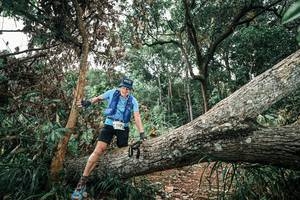 BIB: 
                            <button type="button" onclick="openModal(25541207)" class="btn btn-primary btn-sm float-right btn-popup" data-toggle="modal" data-target=".modal-high-quality">
                        <i class="fas fa-shopping-cart"></i> Add to Cart
                    </button>
                                            <button type="button" onclick="isThisMe(25541207, true)" class="btn btn-success btn-sm float-right btn-popup btn-isme hidden" data-toggle="tooltip" data-placement="bottom" title="นี่คือรูปของคุณใช่ไหม คลิกที่นี่เพื่อเอาเข้าอัลบั้ม">
                        <i class="fas fa-plus"></i> Add to album
                    </button>
                    <button type="button" onclick="isThisMe(25541207, false)" class="btn btn-warning btn-sm float-right btn-popup btn-isnotme hidden">
                        <i class="fas fa-ban"></i> Remove from album
                    </button>