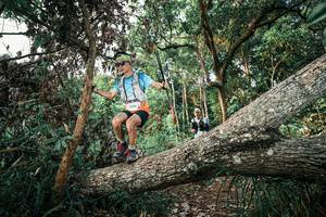 BIB: 
                            <button type="button" onclick="openModal(25526876)" class="btn btn-primary btn-sm float-right btn-popup" data-toggle="modal" data-target=".modal-high-quality">
                        <i class="fas fa-shopping-cart"></i> Add to Cart
                    </button>
                                            <button type="button" onclick="isThisMe(25526876, true)" class="btn btn-success btn-sm float-right btn-popup btn-isme hidden" data-toggle="tooltip" data-placement="bottom" title="นี่คือรูปของคุณใช่ไหม คลิกที่นี่เพื่อเอาเข้าอัลบั้ม">
                        <i class="fas fa-plus"></i> Add to album
                    </button>
                    <button type="button" onclick="isThisMe(25526876, false)" class="btn btn-warning btn-sm float-right btn-popup btn-isnotme hidden">
                        <i class="fas fa-ban"></i> Remove from album
                    </button>