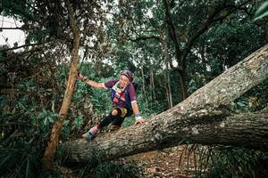 BIB: 
                            <button type="button" onclick="openModal(25551980)" class="btn btn-primary btn-sm float-right btn-popup" data-toggle="modal" data-target=".modal-high-quality">
                        <i class="fas fa-shopping-cart"></i> Add to Cart
                    </button>
                                            <button type="button" onclick="isThisMe(25551980, true)" class="btn btn-success btn-sm float-right btn-popup btn-isme hidden" data-toggle="tooltip" data-placement="bottom" title="นี่คือรูปของคุณใช่ไหม คลิกที่นี่เพื่อเอาเข้าอัลบั้ม">
                        <i class="fas fa-plus"></i> Add to album
                    </button>
                    <button type="button" onclick="isThisMe(25551980, false)" class="btn btn-warning btn-sm float-right btn-popup btn-isnotme hidden">
                        <i class="fas fa-ban"></i> Remove from album
                    </button>