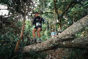 BIB: 
                            <button type="button" onclick="openModal(25526828)" class="btn btn-primary btn-sm float-right btn-popup" data-toggle="modal" data-target=".modal-high-quality">
                        <i class="fas fa-shopping-cart"></i> Add to Cart
                    </button>
                                            <button type="button" onclick="isThisMe(25526828, true)" class="btn btn-success btn-sm float-right btn-popup btn-isme hidden" data-toggle="tooltip" data-placement="bottom" title="นี่คือรูปของคุณใช่ไหม คลิกที่นี่เพื่อเอาเข้าอัลบั้ม">
                        <i class="fas fa-plus"></i> Add to album
                    </button>
                    <button type="button" onclick="isThisMe(25526828, false)" class="btn btn-warning btn-sm float-right btn-popup btn-isnotme hidden">
                        <i class="fas fa-ban"></i> Remove from album
                    </button>