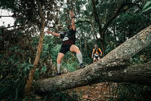 BIB: 
                            <button type="button" onclick="openModal(25550221)" class="btn btn-primary btn-sm float-right btn-popup" data-toggle="modal" data-target=".modal-high-quality">
                        <i class="fas fa-shopping-cart"></i> Add to Cart
                    </button>
                                            <button type="button" onclick="isThisMe(25550221, true)" class="btn btn-success btn-sm float-right btn-popup btn-isme hidden" data-toggle="tooltip" data-placement="bottom" title="นี่คือรูปของคุณใช่ไหม คลิกที่นี่เพื่อเอาเข้าอัลบั้ม">
                        <i class="fas fa-plus"></i> Add to album
                    </button>
                    <button type="button" onclick="isThisMe(25550221, false)" class="btn btn-warning btn-sm float-right btn-popup btn-isnotme hidden">
                        <i class="fas fa-ban"></i> Remove from album
                    </button>