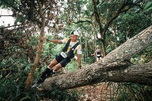 BIB: 
                            <button type="button" onclick="openModal(25529785)" class="btn btn-primary btn-sm float-right btn-popup" data-toggle="modal" data-target=".modal-high-quality">
                        <i class="fas fa-shopping-cart"></i> Add to Cart
                    </button>
                                            <button type="button" onclick="isThisMe(25529785, true)" class="btn btn-success btn-sm float-right btn-popup btn-isme hidden" data-toggle="tooltip" data-placement="bottom" title="นี่คือรูปของคุณใช่ไหม คลิกที่นี่เพื่อเอาเข้าอัลบั้ม">
                        <i class="fas fa-plus"></i> Add to album
                    </button>
                    <button type="button" onclick="isThisMe(25529785, false)" class="btn btn-warning btn-sm float-right btn-popup btn-isnotme hidden">
                        <i class="fas fa-ban"></i> Remove from album
                    </button>