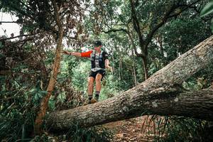 BIB: 
                            <button type="button" onclick="openModal(25548080)" class="btn btn-primary btn-sm float-right btn-popup" data-toggle="modal" data-target=".modal-high-quality">
                        <i class="fas fa-shopping-cart"></i> Add to Cart
                    </button>
                                            <button type="button" onclick="isThisMe(25548080, true)" class="btn btn-success btn-sm float-right btn-popup btn-isme hidden" data-toggle="tooltip" data-placement="bottom" title="นี่คือรูปของคุณใช่ไหม คลิกที่นี่เพื่อเอาเข้าอัลบั้ม">
                        <i class="fas fa-plus"></i> Add to album
                    </button>
                    <button type="button" onclick="isThisMe(25548080, false)" class="btn btn-warning btn-sm float-right btn-popup btn-isnotme hidden">
                        <i class="fas fa-ban"></i> Remove from album
                    </button>